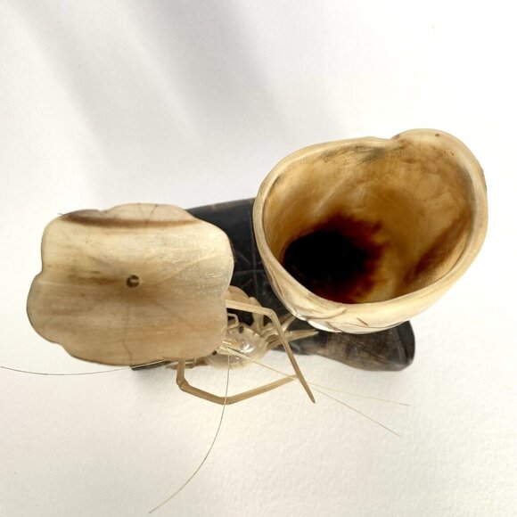 Crab Shrimp Lotus Hand Carved Animal Horn Sculpture Pen Holder Vintage Desk Set - Picture 12 of 16